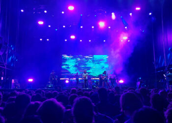 Јас, King Gizzard и нивните фанови