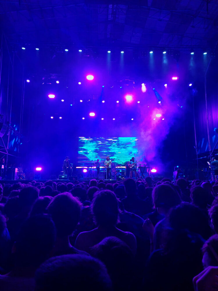 Јас, King Gizzard и нивните фанови