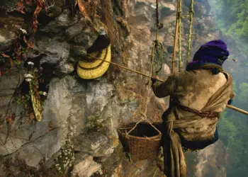 (Филм) Ловци на мед: во потрага по непалскиот мед кој предизвикува халуцинации