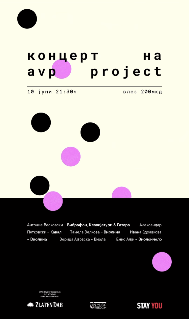 Концерт на „AVP Project“ во Котур!