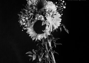 Запознајте се со „Шатакуа“ на нивниот мултимедијален настан кој е сплет од аналогна фотографија, видео движења, објекти и музика