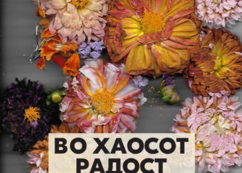 Ѕирни во „Во хаосот радост“ од Калиа Димитрова