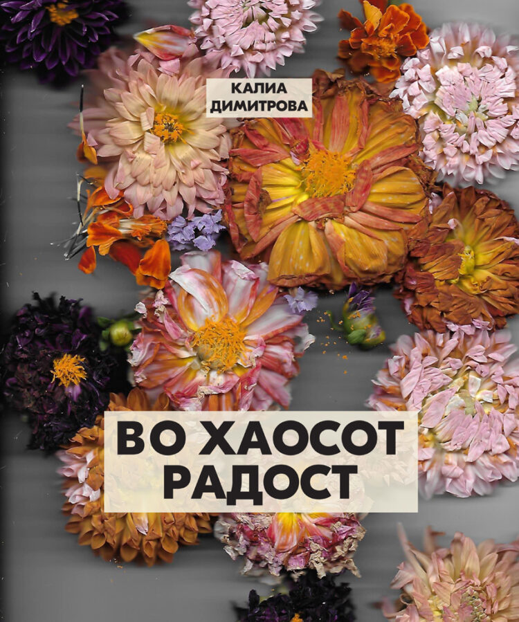 Ѕирни во „Во хаосот радост“ од Калиа Димитрова
