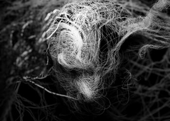 Слушнете го првиот сингл на интернационалниот прогресивен метал бенд „Agremorta“,